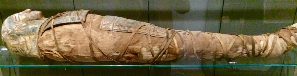 "spoglia immemore" mummia Museo Egizio Torino